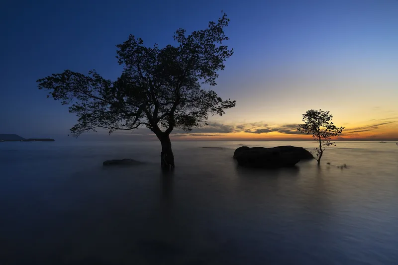 Trang chủ